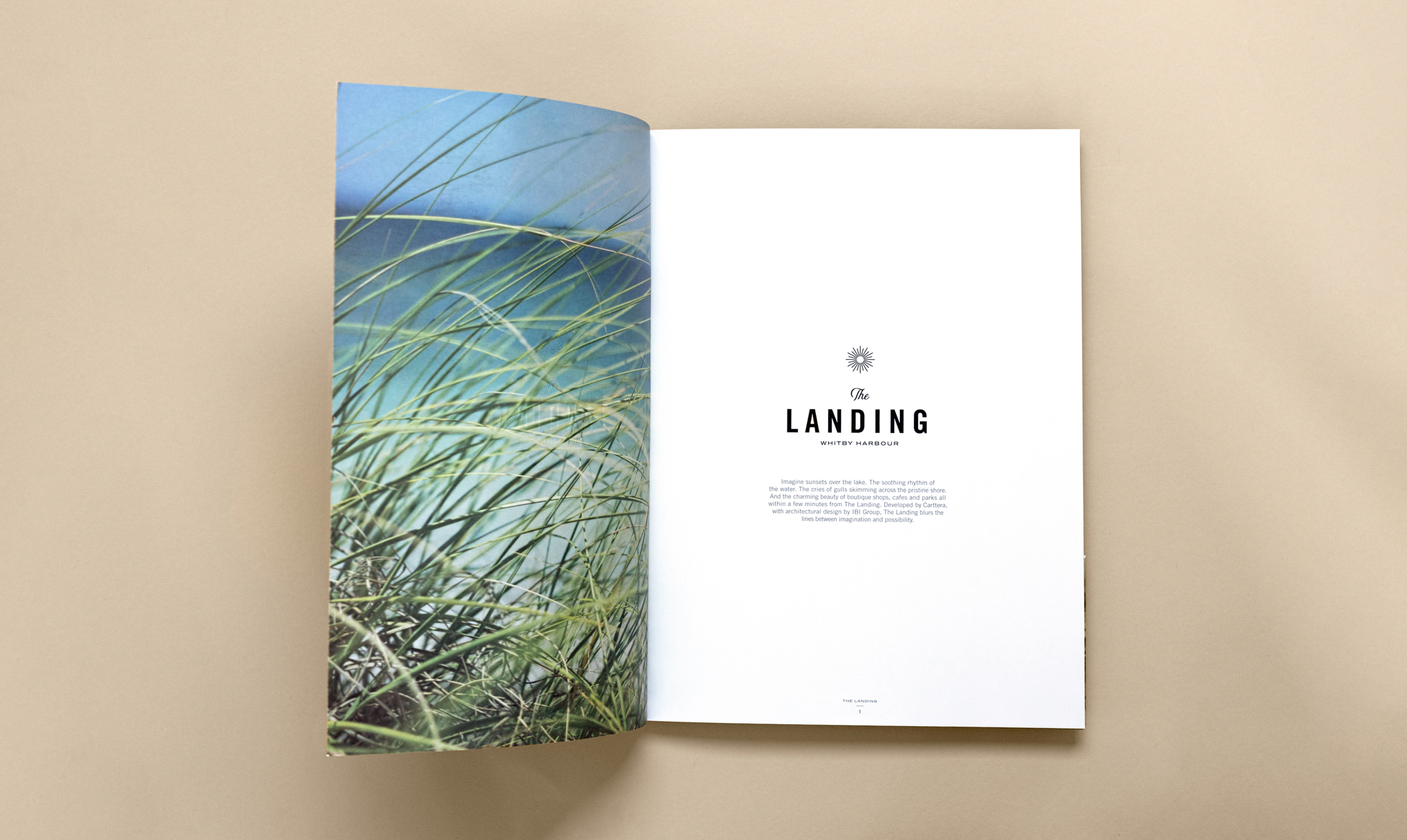 The Landing