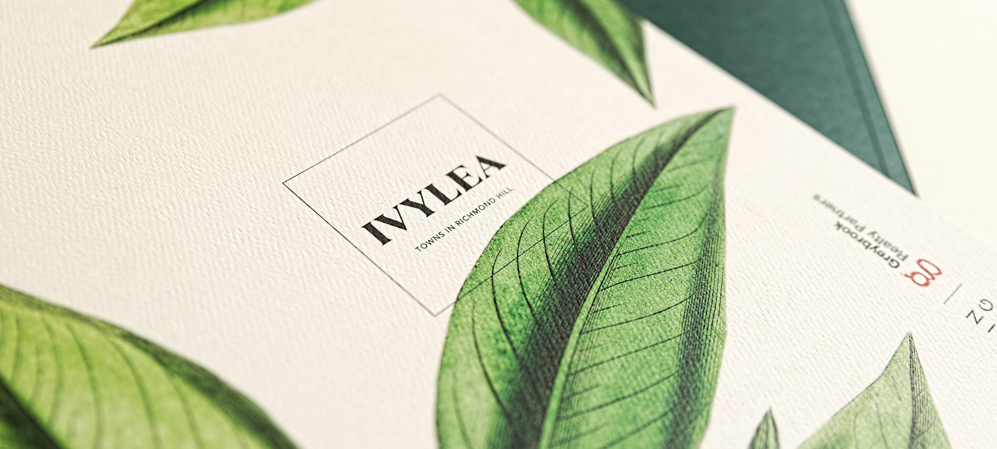 Marlin Spring’s Ivylea